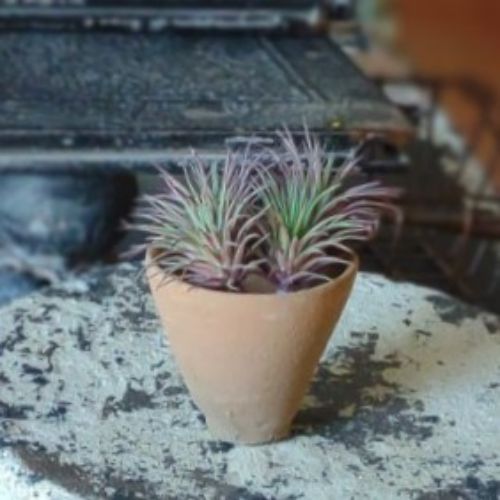 fabric pots for plants Fabric Planters - Grow Bags