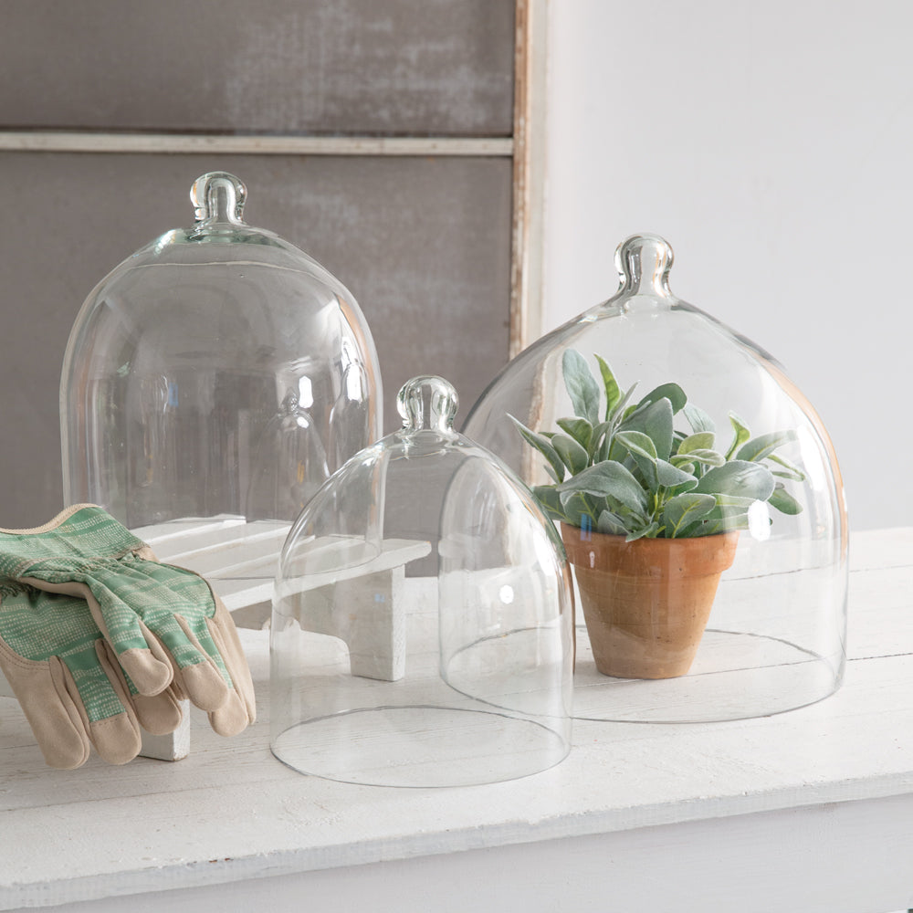 Glass Bell Shaped Cloche | Vintage Crossroads display picture 1
