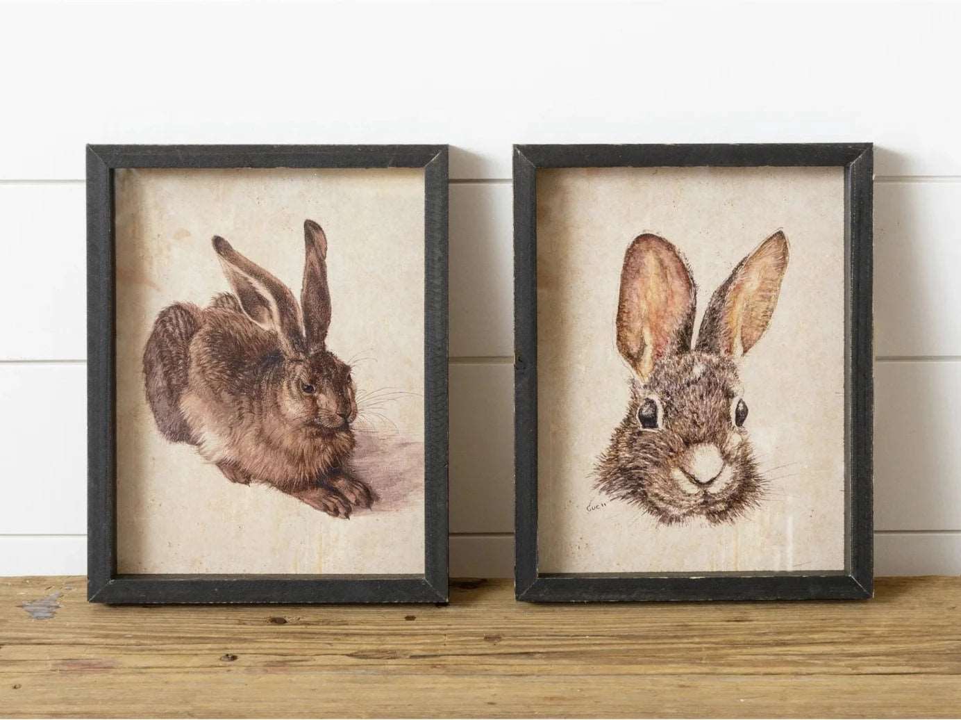 Framed Rabbits Prints Vintage Crossroads