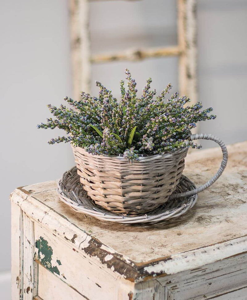 teacup and saucer planter Willow Cup and Saucer Planter