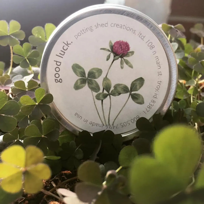 Good Luck Sprinkle Good Luck Clover - Garden Sprinkles | Vintage Crossroads