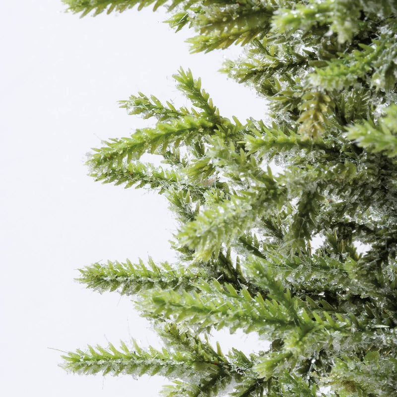 Iced Tree In White Pot