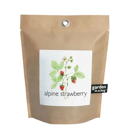 Strawberry - Garden In A Bag
