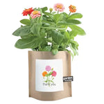 Thank You - Garden In A Bag