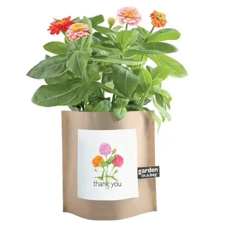 Thank You - Garden In A Bag