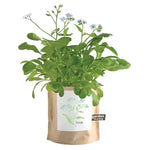 Love - Garden In A Bag