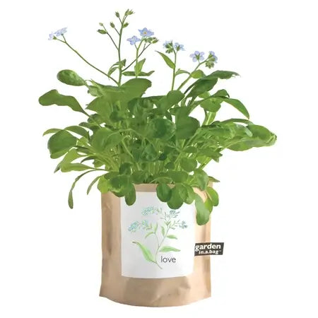 Love - Garden In A Bag