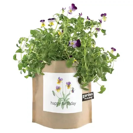 Happy Birthday - Garden In A Bag