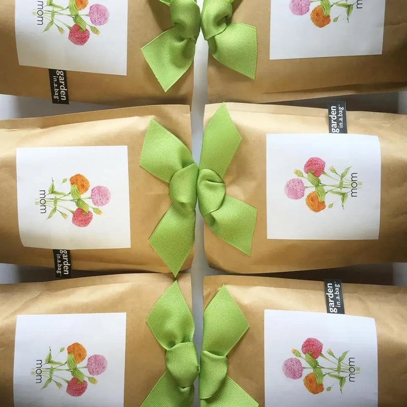 Mom - Garden In A Bag
