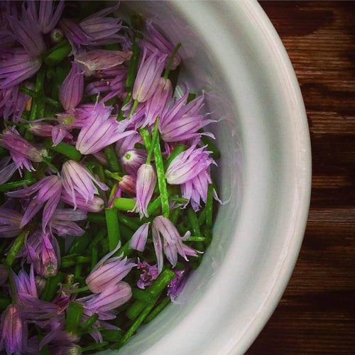 Chives - Garden In A Bag