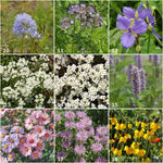Honeybee - Garden Sprinkles