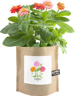 Mom - Garden In A Bag