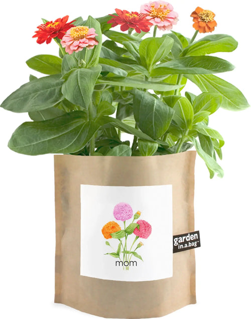 Mom - Garden In A Bag
