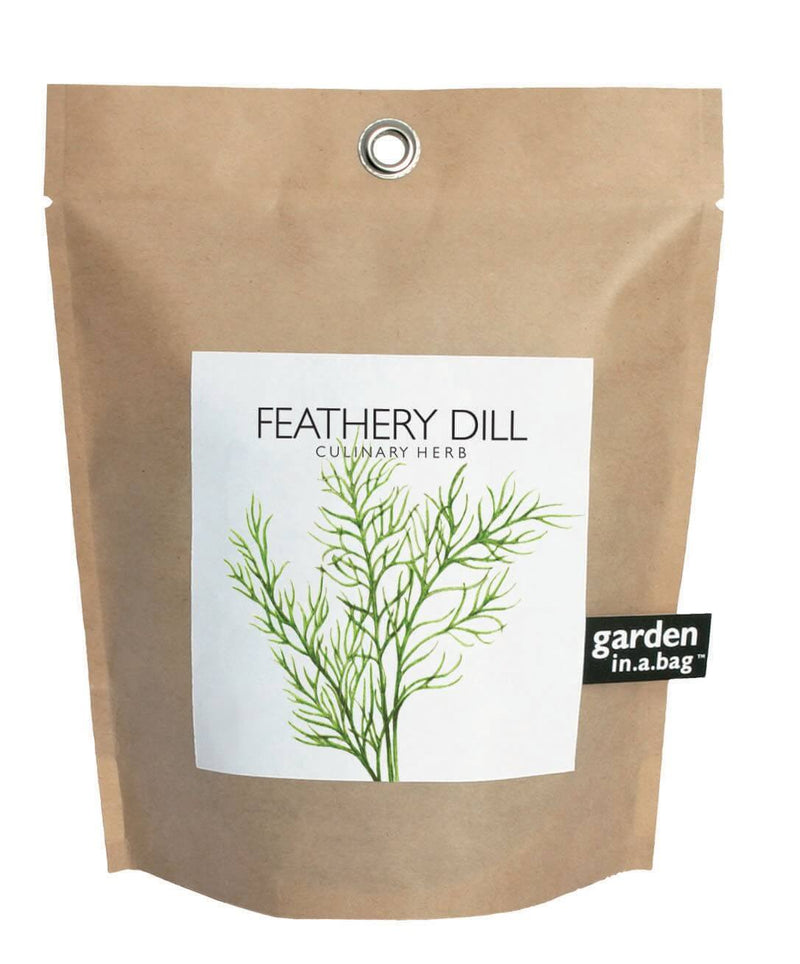Feathery Dill - Garden In A Bag