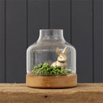 Glass Terrarium With Wood Base