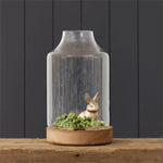 Glass Terrarium With Wood Base