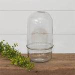 Glass Cloche Terrarium