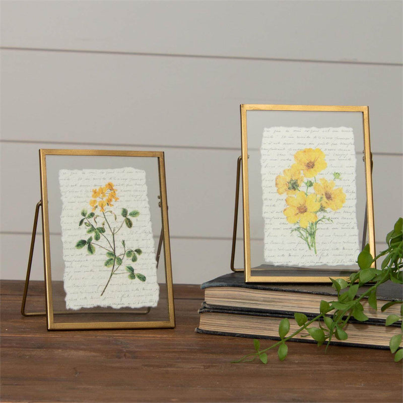 Gold Framed Yellow Flower Print