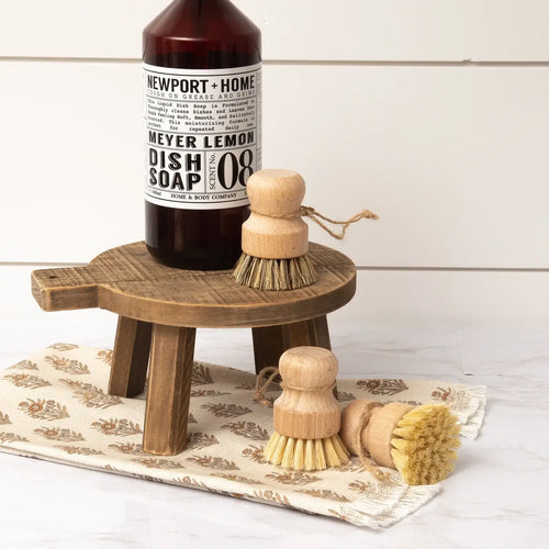 Scrub Brush