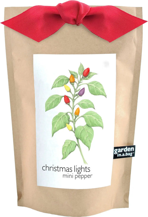 Christmas Lights Peppers - Garden In A Bag