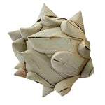 Botanical Artichoke