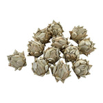 Botanical Artichoke