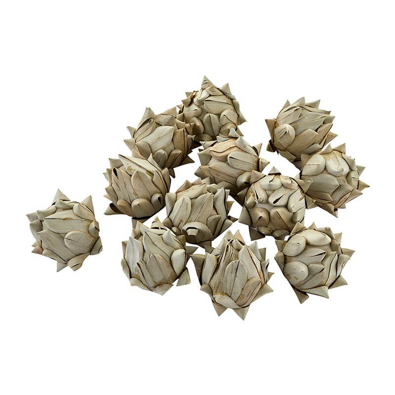 Botanical Artichoke