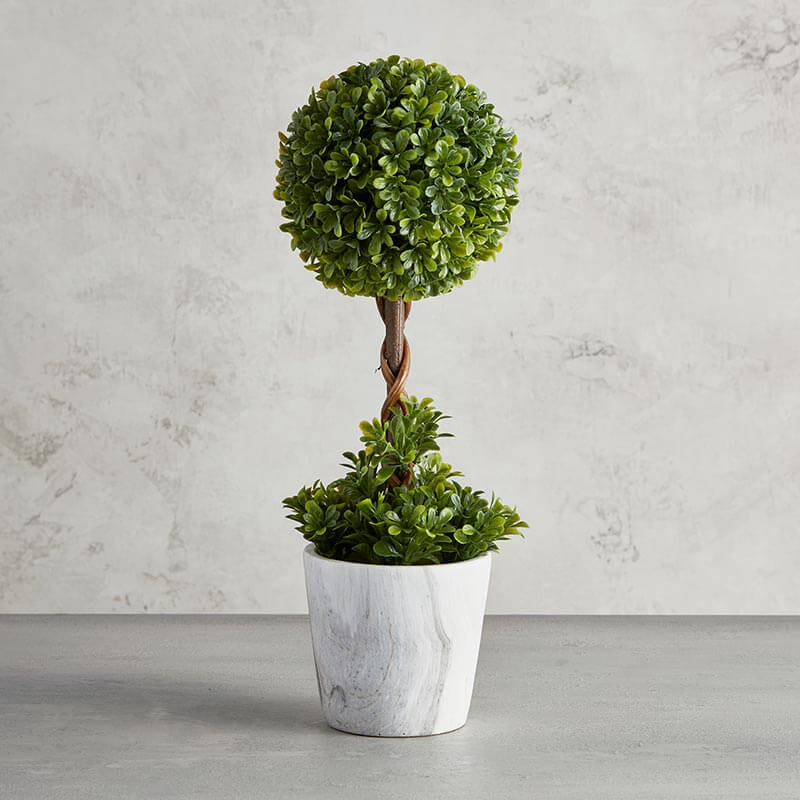 Topiary Ball In Planter