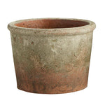 Terra-Cotta Flowerpot