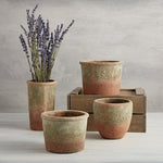 Terra-Cotta Flowerpot