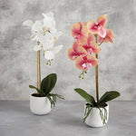 Faux Potted Orchid