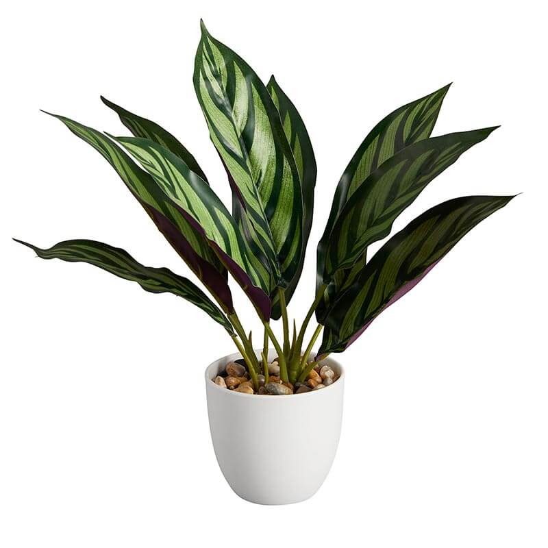 faux potted floor plants 2 47th Main Cmr786 Calathea Plant ($17.50 @ 2 min)