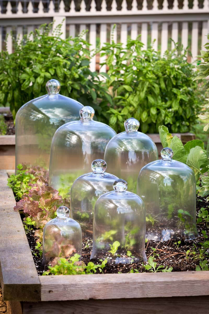 Bell Jar