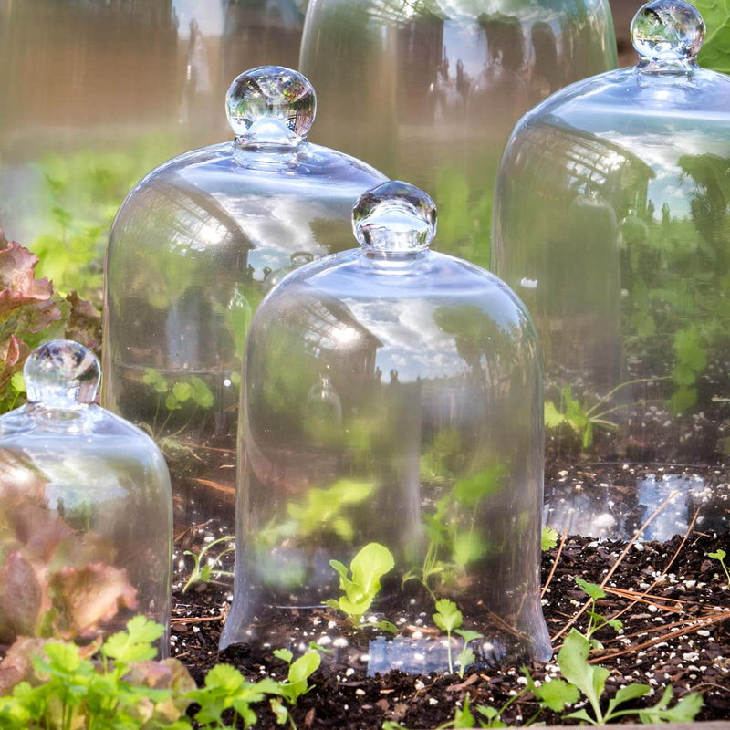 Bell Jar
