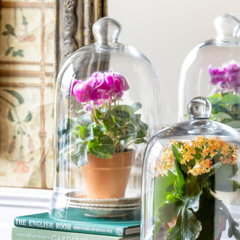 Bell Jar