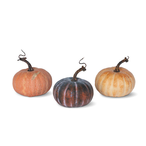 Autumn Garden Pumpkins Set