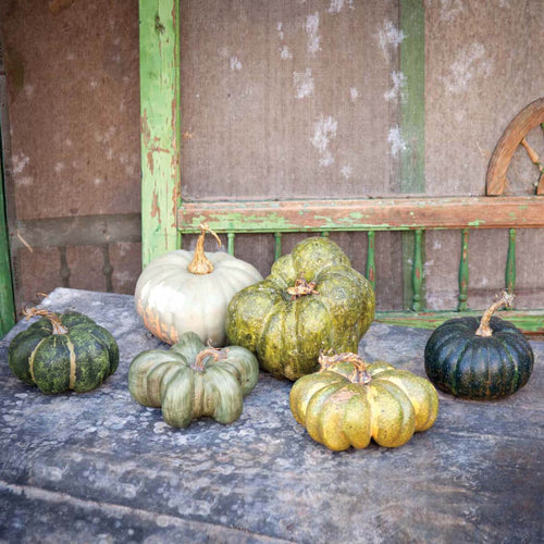Green Heirloom 2 Pumpkins Set