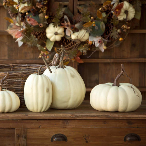 Full Moon Pumpkin Set