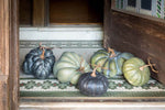 Green Heirloom Pumpkins Set