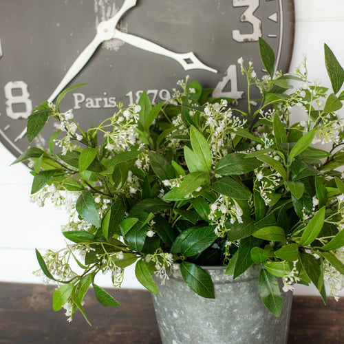 Gypsophila Spray