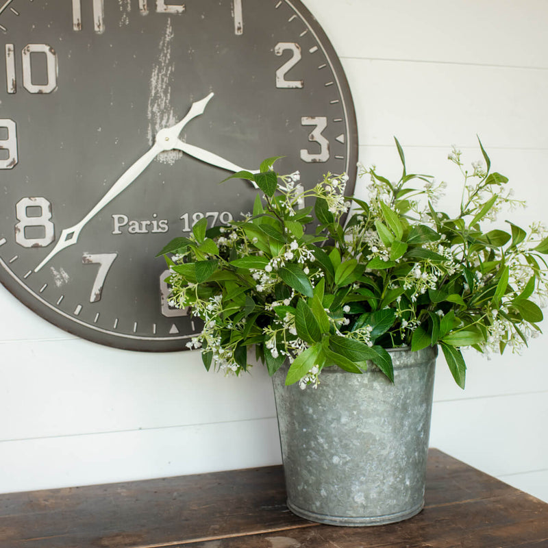 Gypsophila Spray