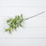 Gypsophila Spray