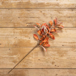 Rust colored Laurel Spray