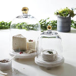 Holiday Gold Knob Glass Cloche