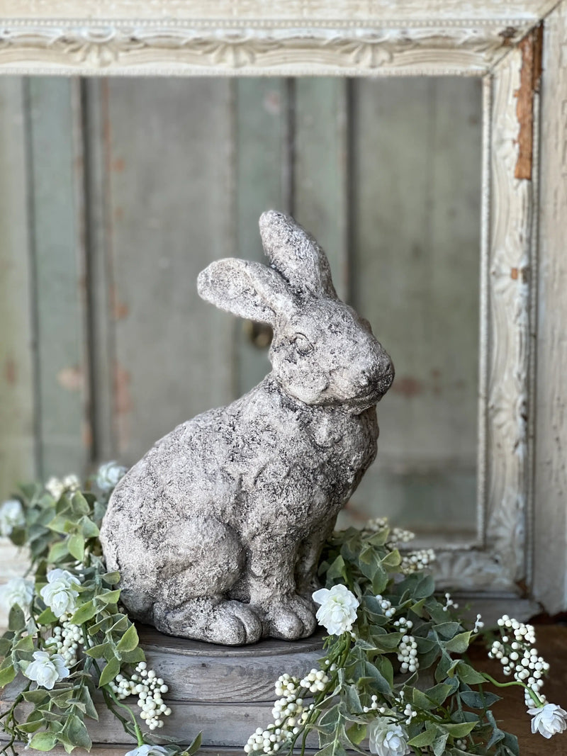 Garden Rabbit