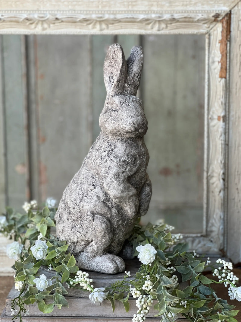 Garden Rabbit