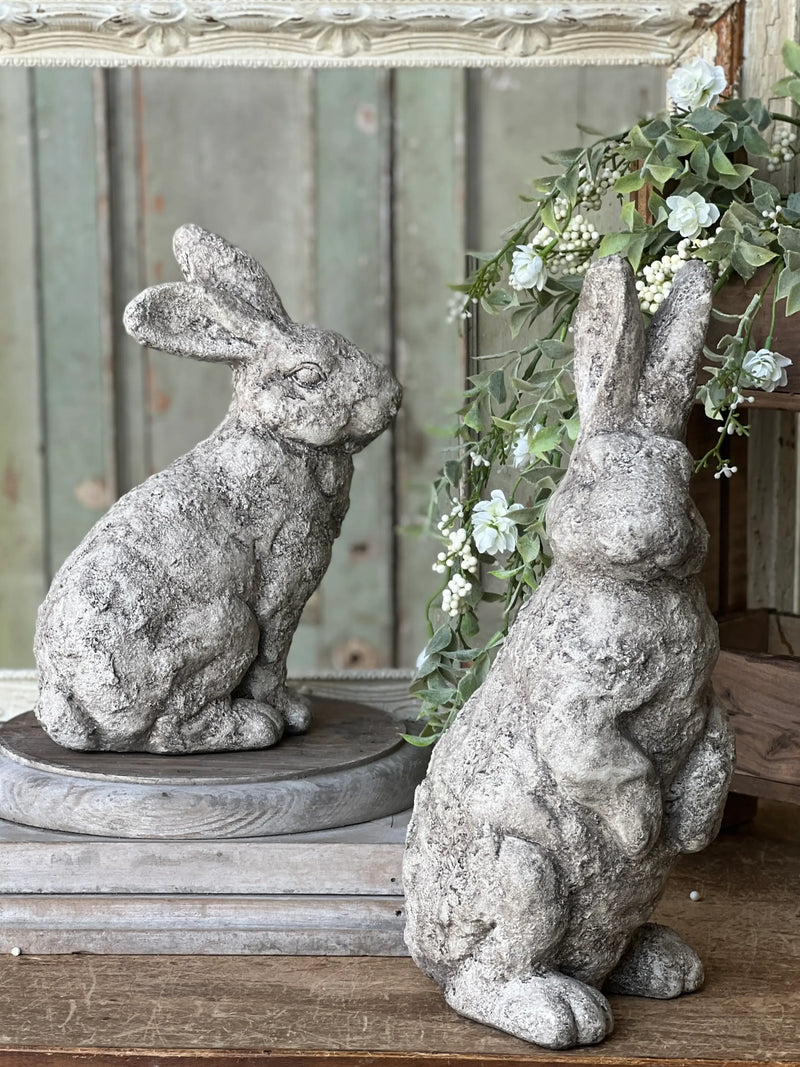 Garden Rabbit