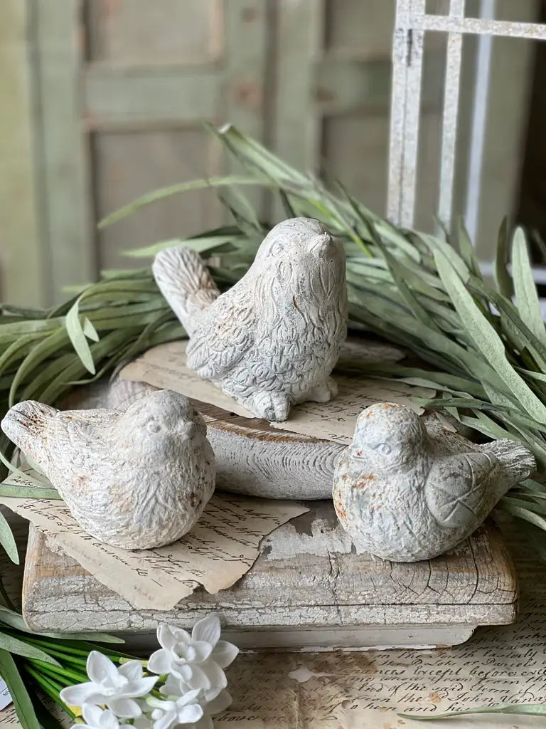 Rustic Wren