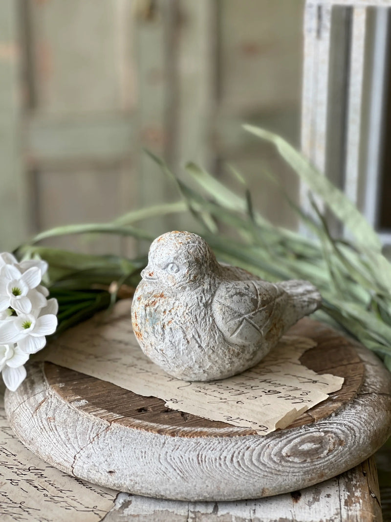 Rustic Wren