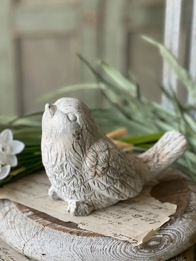 Rustic Wren